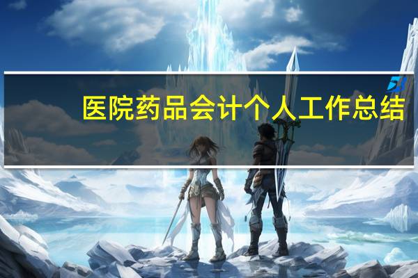医院药品会计个人工作总结（会计个人工作总结）