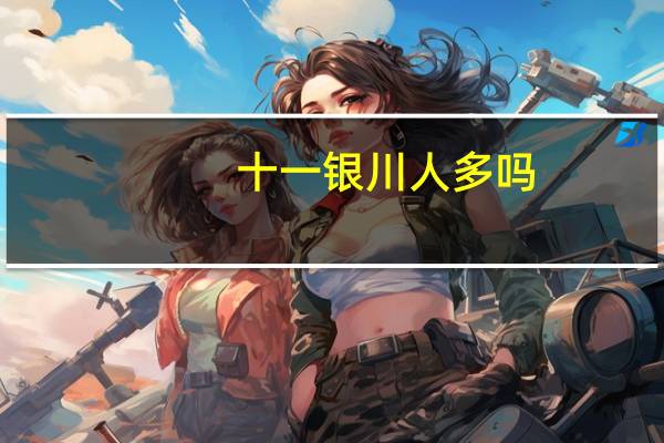 十一银川人多吗