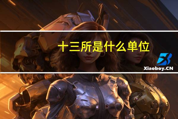 十三所是什么单位