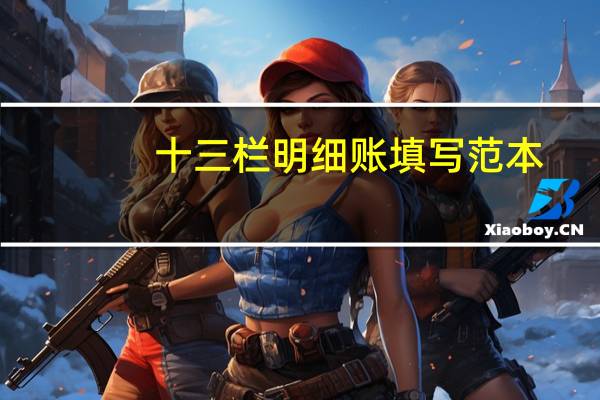 十三栏明细账填写范本（十三栏明细账填写样本）