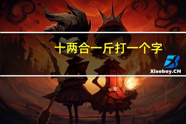 十两合一斤打一个字（十两合一斤打一字）