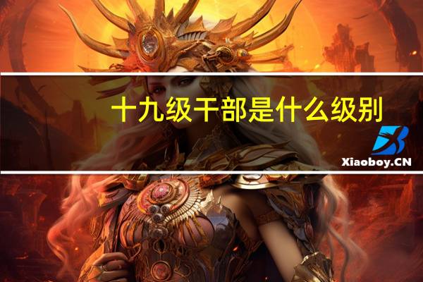 十九级干部是什么级别