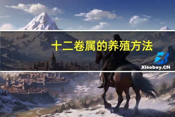 十二卷属的养殖方法:深盆、透气