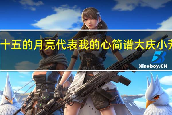 十五的月亮代表我的心简谱大庆小芳演唱