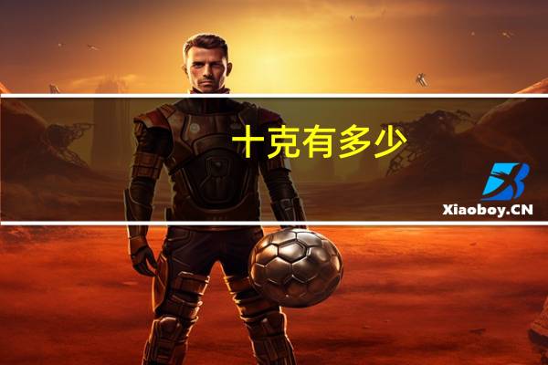 十克有多少