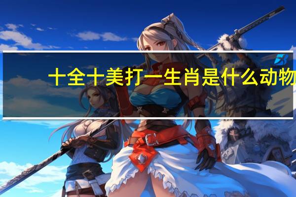 十全十美打一生肖是什么动物（十全十美打一生肖）