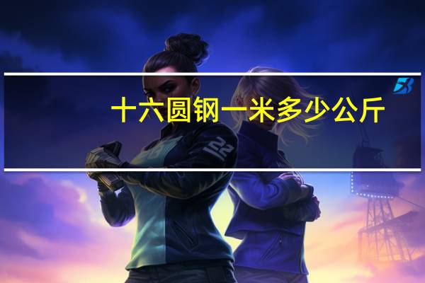 十六圆钢一米多少公斤（十六圆）