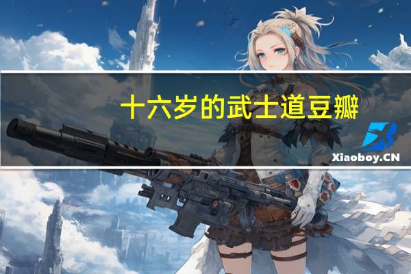 十六岁的武士道豆瓣（十六岁的武士道）