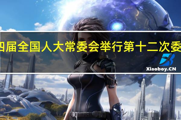 十四届全国人大常委会举行第十二次委员长会议
