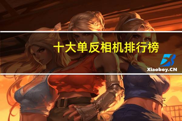 十大单反相机排行榜