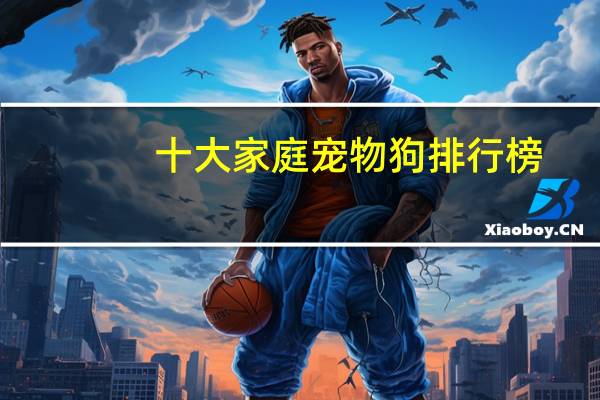 十大家庭宠物狗排行榜