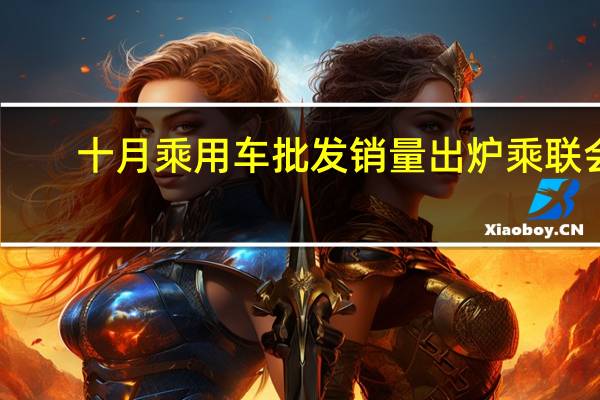 十月乘用车批发销量出炉 乘联会：前五均为新能源车型