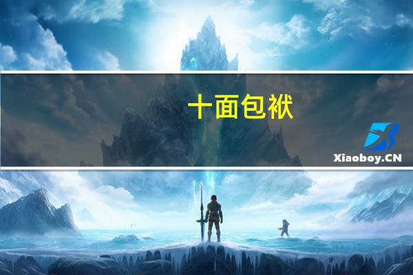 十面包袱（关于十面包袱的介绍）