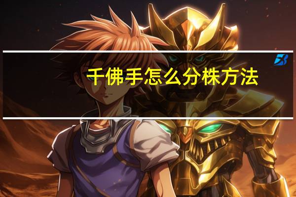 千佛手怎么分株方法