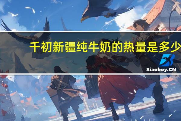千初 新疆纯牛奶的热量是多少