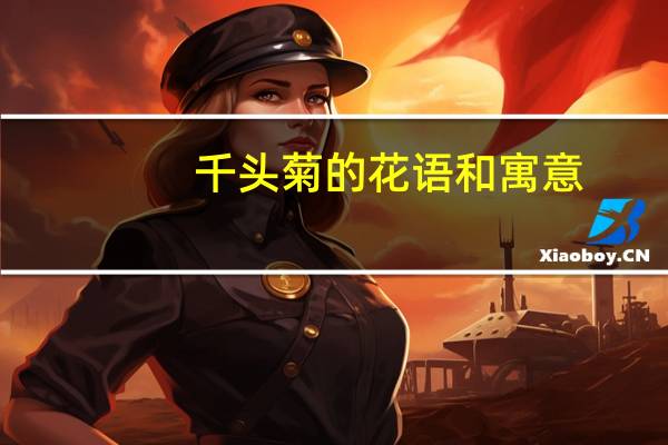 千头菊的花语和寓意