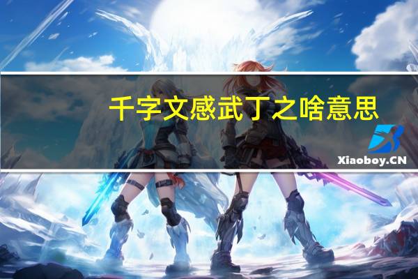 千字文感武丁之啥意思