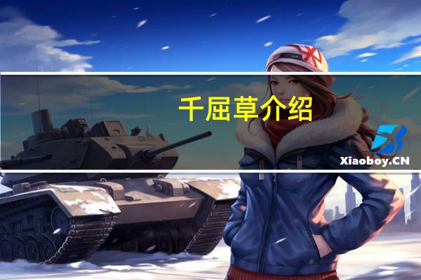 千屈草介绍