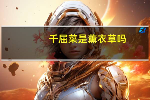 千屈菜是薰衣草吗