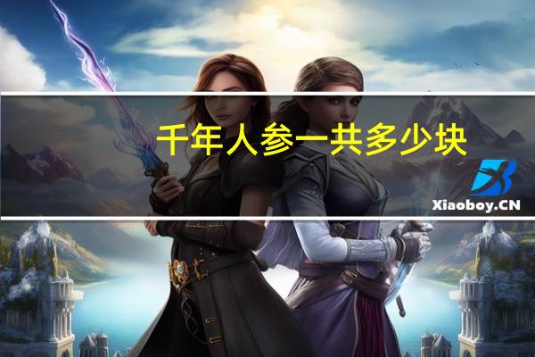 千年人参一共多少块