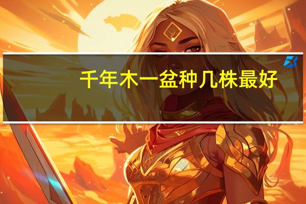 千年木一盆种几株最好