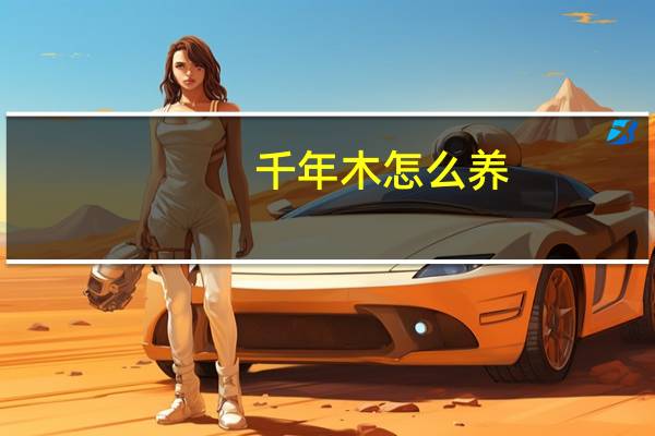 千年木怎么养