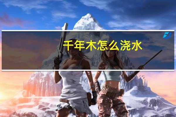 千年木怎么浇水