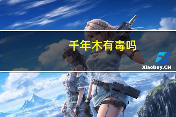 千年木有毒吗