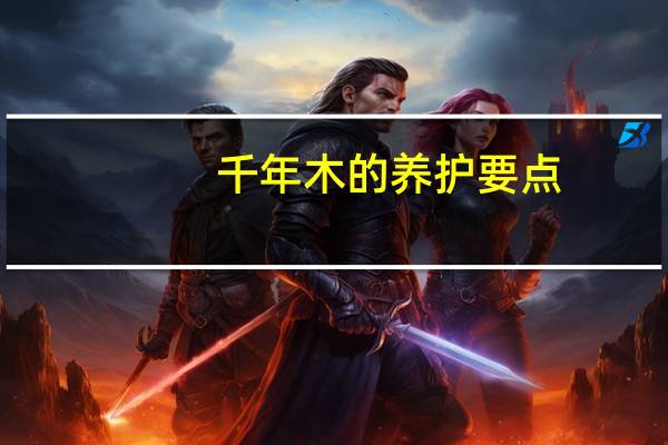 千年木的养护要点