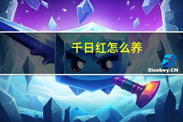 千日红怎么养