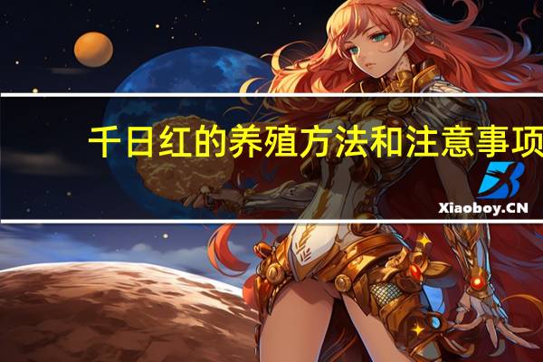 千日红的养殖方法和注意事项