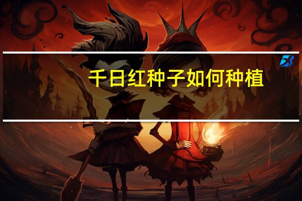 千日红种子如何种植