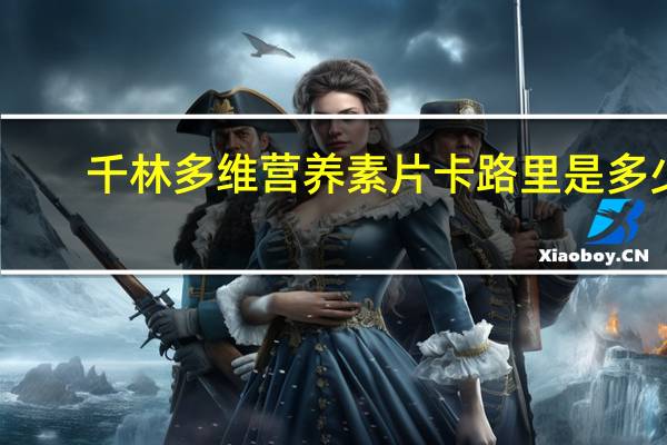 千林 多维营养素片卡路里是多少