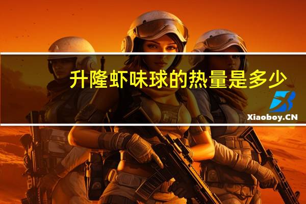 升隆 虾味球的热量是多少