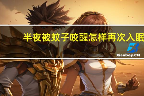 半夜被蚊子咬醒怎样再次入眠（半夜被蚊子咬醒怎么办）