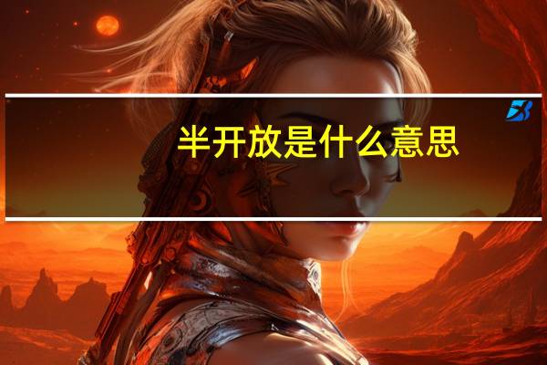 半开放是什么意思