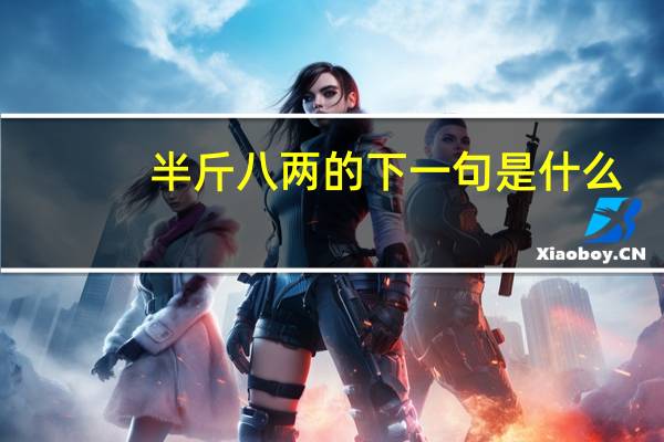 半斤八两的下一句是什么