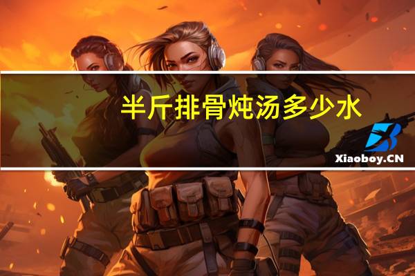 半斤排骨炖汤多少水