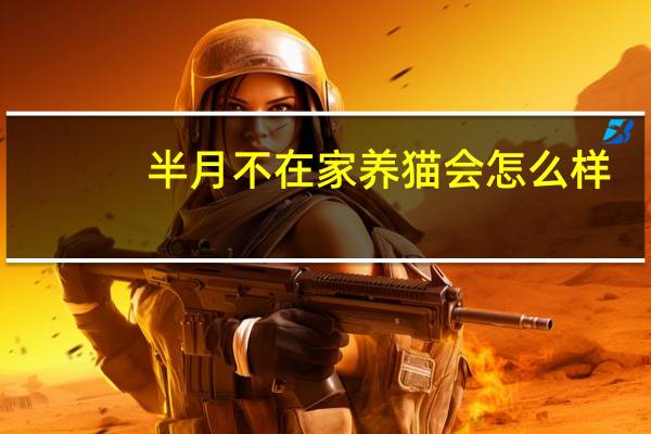 半月不在家养猫会怎么样