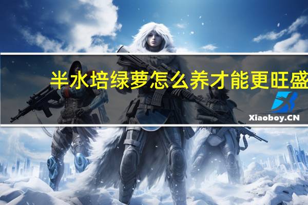 半水培绿萝怎么养才能更旺盛