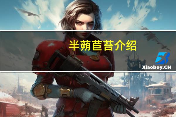 半蒴苣苔介绍