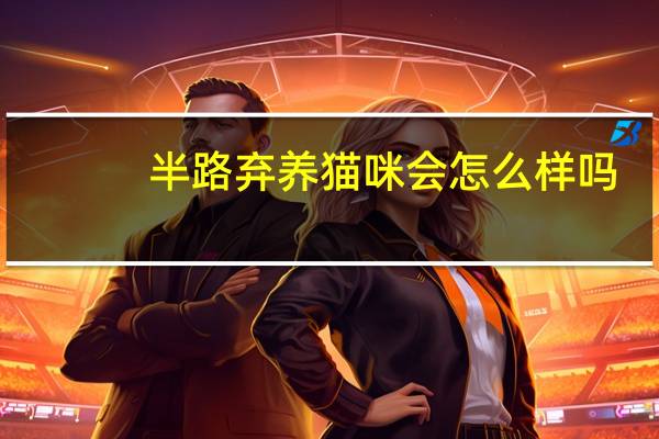 半路弃养猫咪会怎么样吗