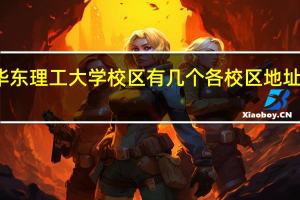 华东理工大学校区有几个各校区地址是什么