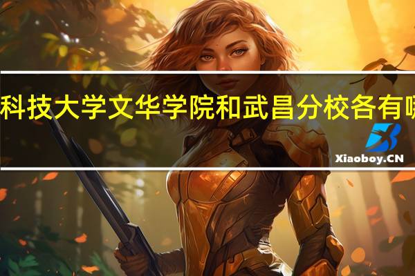 华中科技大学文华学院和武昌分校各有哪些优缺点