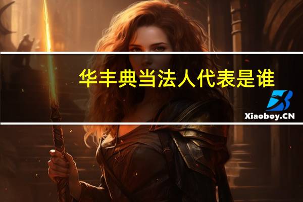 华丰典当法人代表是谁