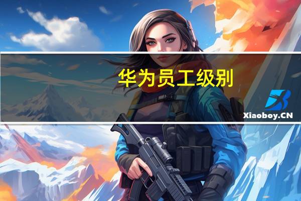 华为员工级别