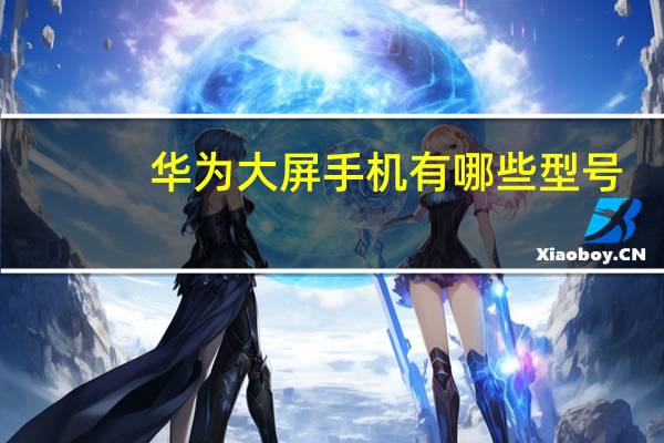 华为大屏手机有哪些型号(华为大屏手机有哪些)