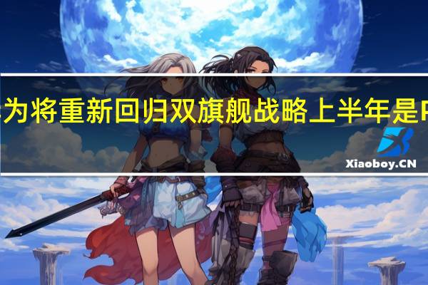 华为将重新回归双旗舰战略上半年是P60系列