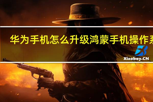 华为手机怎么升级鸿蒙手机操作系统（华为手机怎么升级鸿蒙）