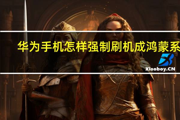 华为手机怎样强制刷机成鸿蒙系统(华为手机怎样强制刷机教程)